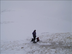 000112 quandaryIMG_2747.jpg
